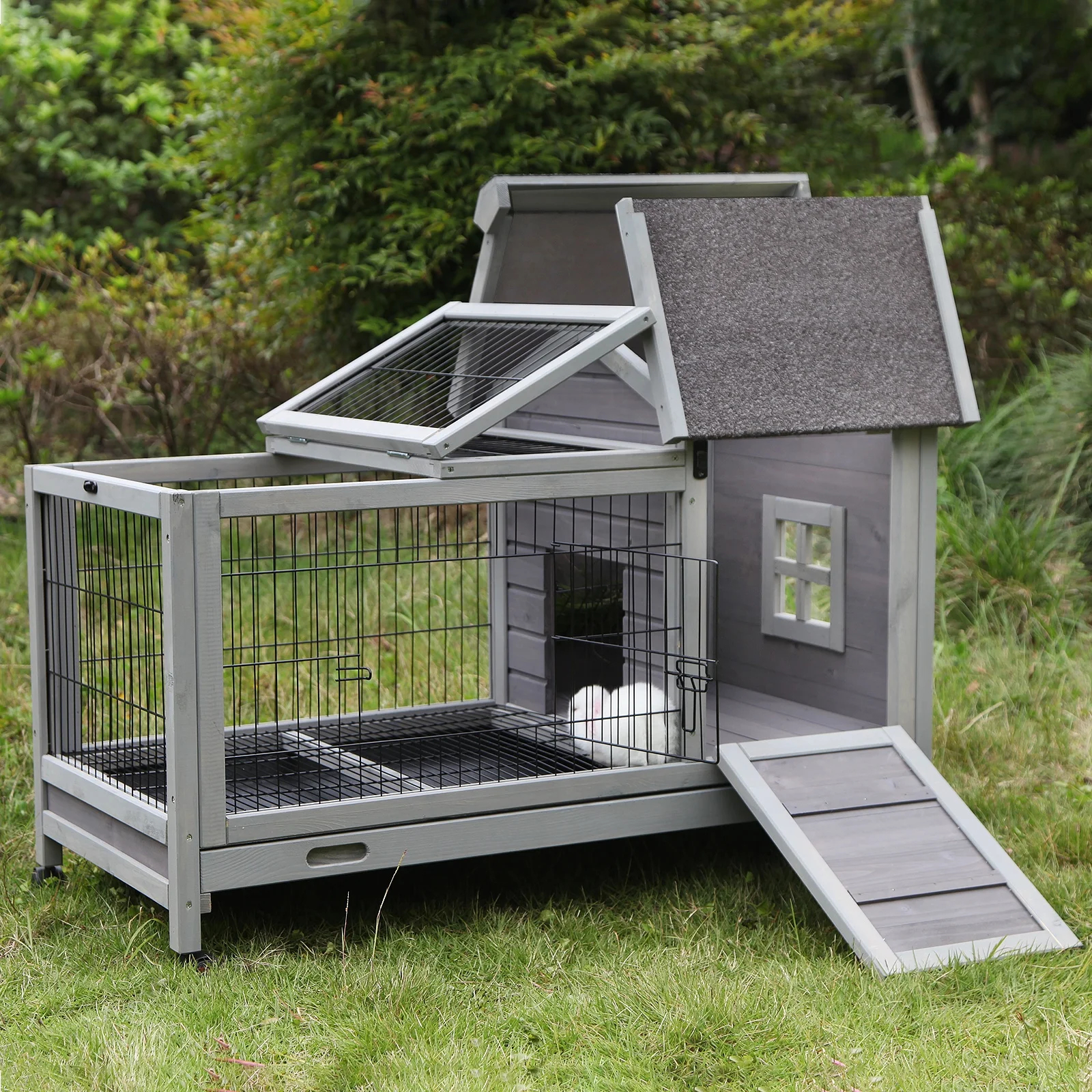 【Pet】Robinette Small Animal